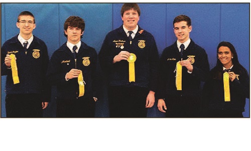 HHS FFA Ag Sales Image