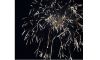 Fireworks at BBQ Blast Image